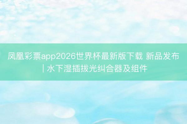凤凰彩票app2026世界杯最新版下载 新品发布 | 水下湿插拔光纠合器及组件