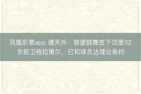 凤凰彩票app 德天外：狼堡鼓舞签下汉堡32岁前卫格拉策尔，已和球员达理论条约