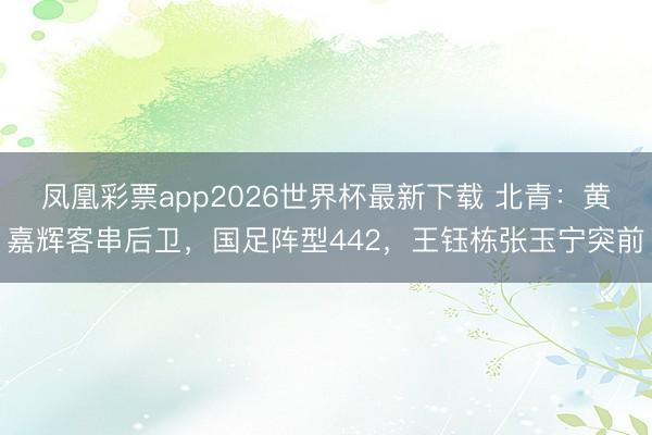 凤凰彩票app2026世界杯最新下载 北青：黄嘉辉客串后卫，国足阵型442，王钰栋张玉宁突前