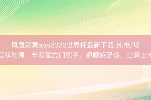 凤凰彩票app2026世界杯最新下载 纯电/增程双能源，半荫藏式门把手，通顺感足够，坐等上市
