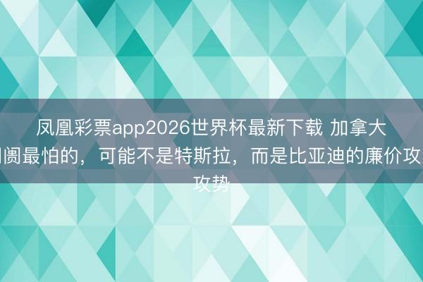 凤凰彩票app2026世界杯最新下载 加拿大阛阓最怕的，可能不是特斯拉，而是比亚迪的廉价攻势