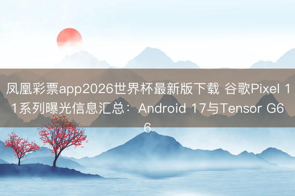 凤凰彩票app2026世界杯最新版下载 谷歌Pixel 11系列曝光信息汇总：Android 17与Tensor G6