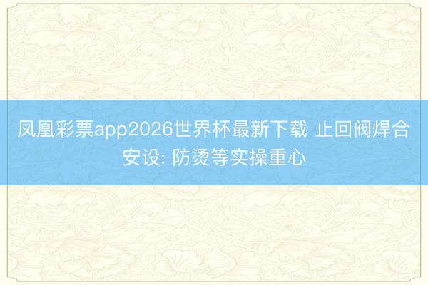 凤凰彩票app2026世界杯最新下载 止回阀焊合安设: 防烫等实操重心