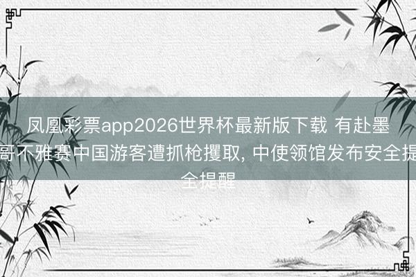 凤凰彩票app2026世界杯最新版下载 有赴墨西哥不雅赛中国游客遭抓枪攫取， 中使领馆发布安全提醒