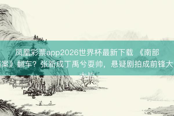 凤凰彩票app2026世界杯最新下载 《南部档案》翻车？张新成丁禹兮耍帅，悬疑剧拍成前锋大片