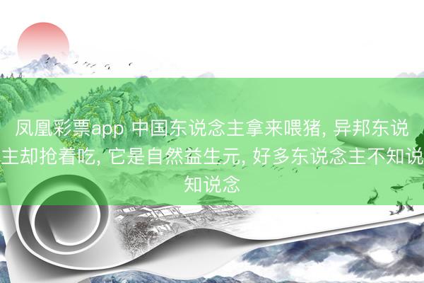 凤凰彩票app 中国东说念主拿来喂猪， 异邦东说念主却抢着吃， 它是自然益生元， 好多东说念主不知说念
