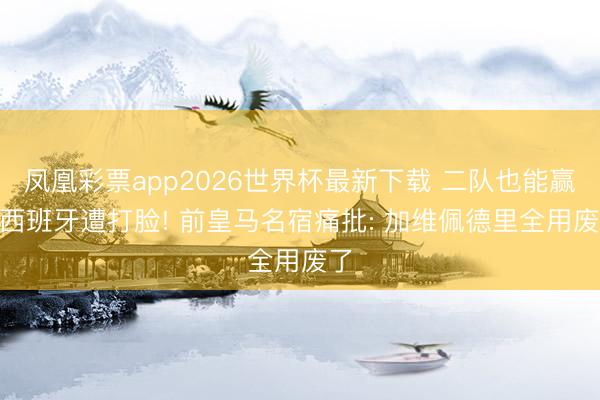 凤凰彩票app2026世界杯最新下载 二队也能赢? 西班牙遭打脸! 前皇马名宿痛批: 加维佩德里全用废了