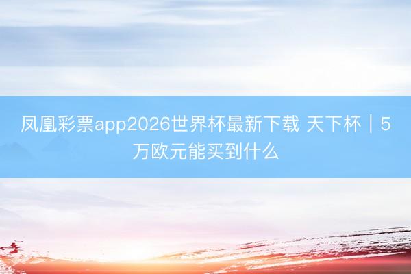凤凰彩票app2026世界杯最新下载 天下杯｜5万欧元能买到什么