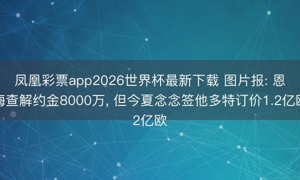 凤凰彩票app2026世界杯最新下载 图片报: 恩梅查解约金8000万， 但今夏念念签他多特订价1.2亿欧