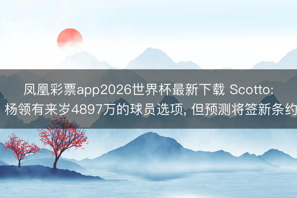 凤凰彩票app2026世界杯最新下载 Scotto: 杨领有来岁4897万的球员选项， 但预测将签新条约