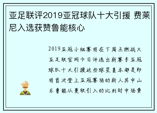 亚足联评2019亚冠球队十大引援 费莱尼入选获赞鲁能核心